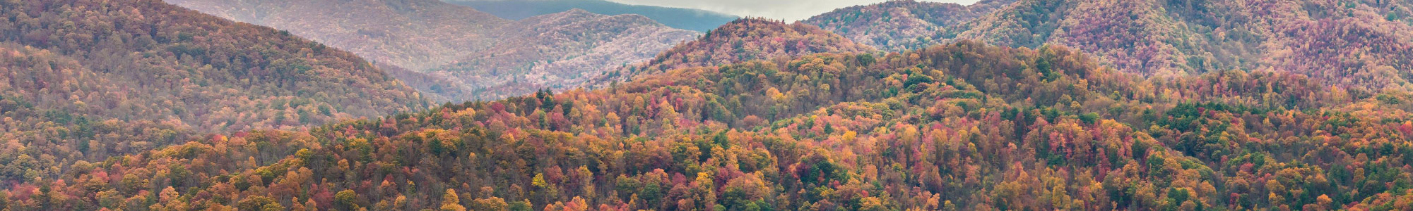 Tennessee mountains in the fall with the trees changing color